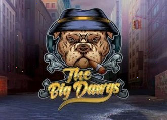 the big dawgs Frank casino